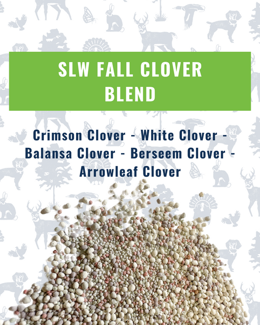 SLW Clover Blend