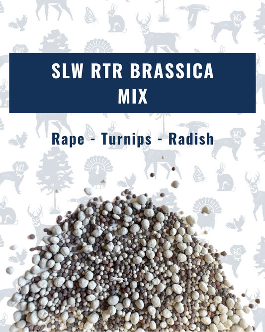 SLW RTR Brassica