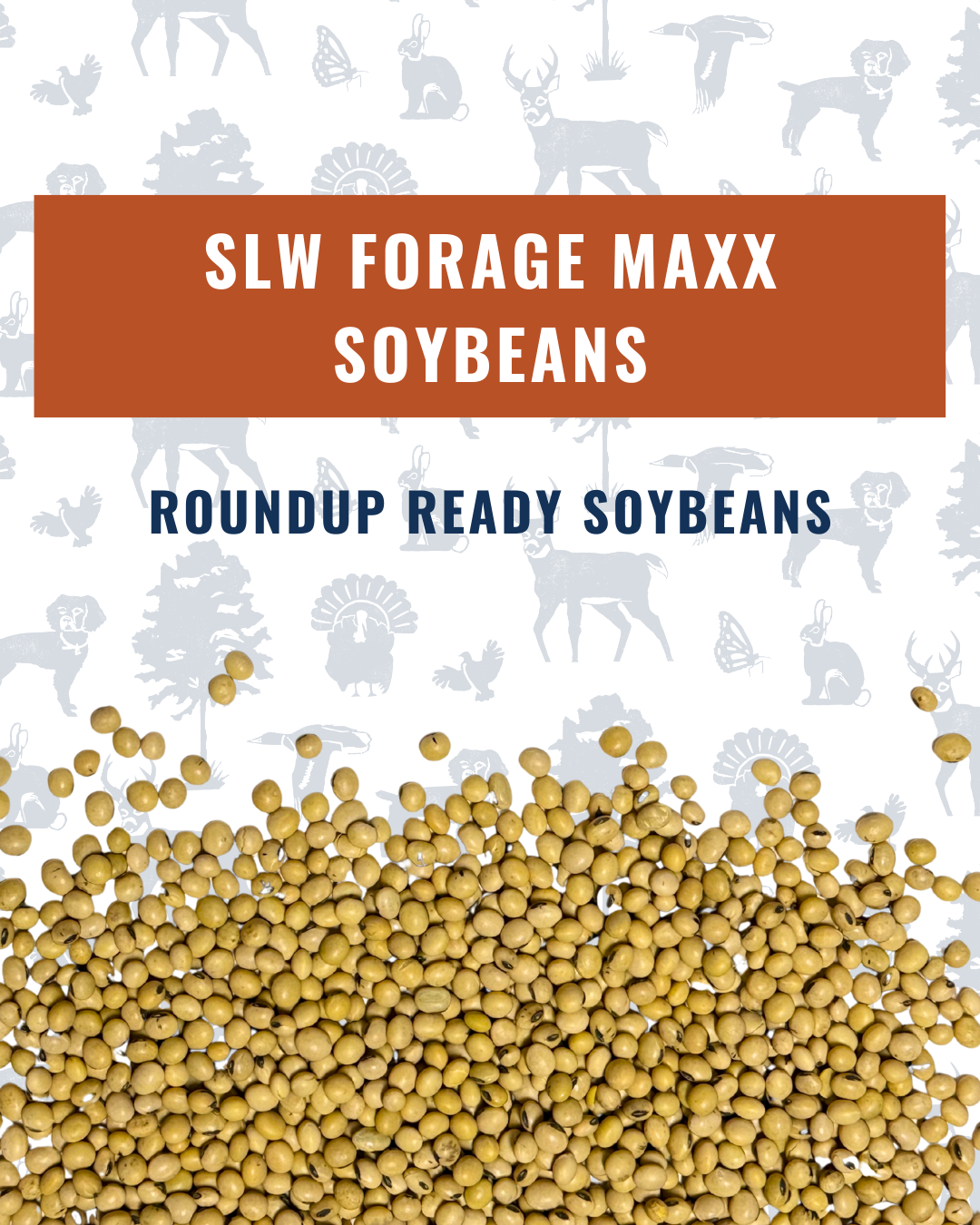 SLW Forage Maxx Soybeans