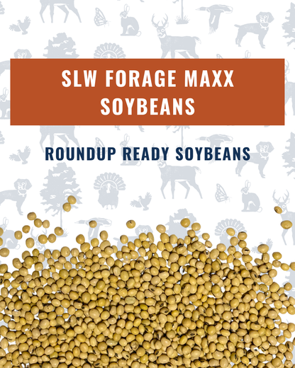SLW Forage Maxx Soybeans