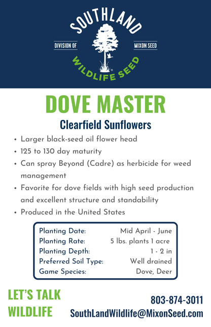 SLW DOVEMASTER CL Sunflowers