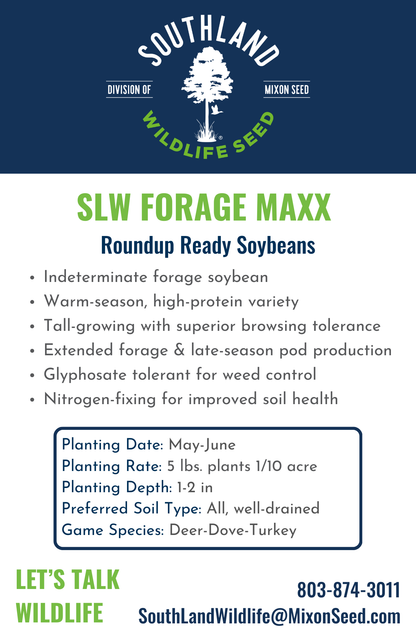 SLW Forage Maxx Soybeans