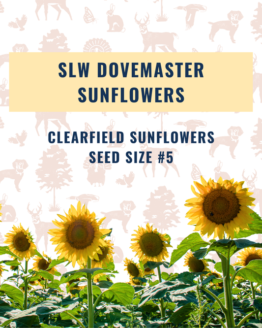 SLW DOVEMASTER CL Sunflowers